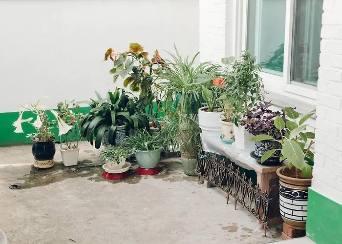 Hongdae Luxury: Family-friendly Private House With Open Balcony