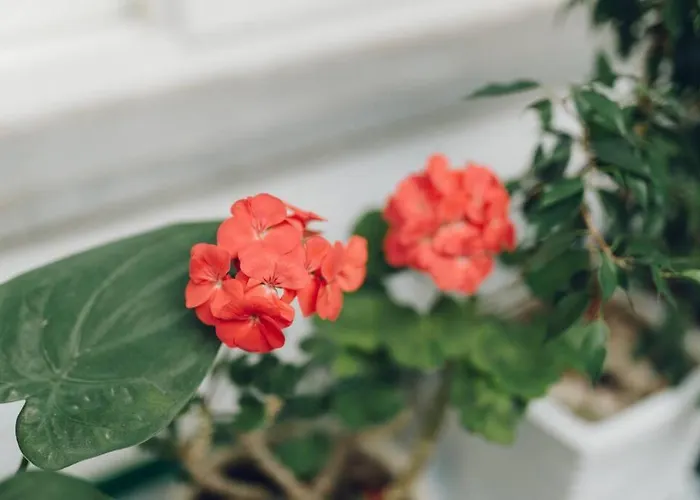Hongdae Luxury: Family-friendly Private House With Open Balcony