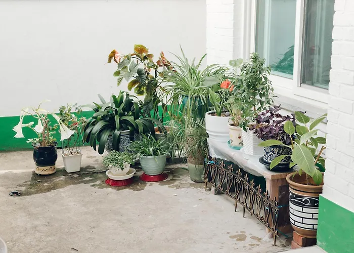 Villa Hongdae Luxury: Family-friendly Private House With Open Balcony Seoul