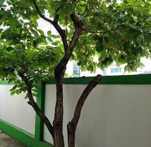 Villa Hongdae Luxury: Family-friendly Private House With Open Balcony Seoul