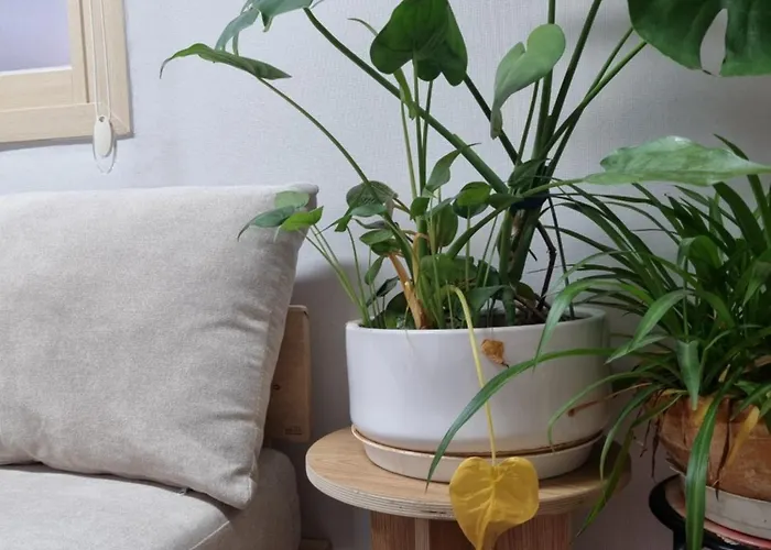 Villa Hongdae Luxury: Family-friendly Private House With Open Balcony *