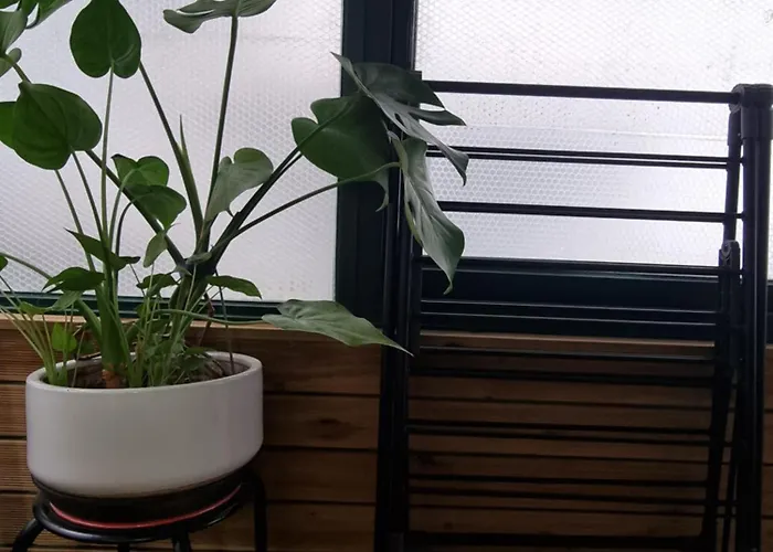 Hongdae Luxury: Family-friendly Private House With Open Balcony *